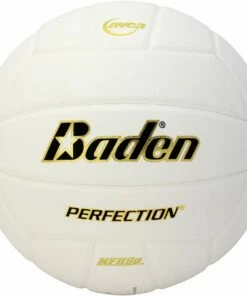 Baden VX5E Perfection 15-0 Leather Game Volleyball, WHITE
