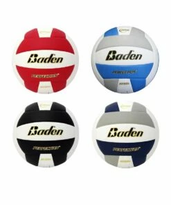 Baden VX5E Perfection 15-0 Leather Game Volleyball, COLORS -Volleyball Sales Shop a25 461 new colors 03