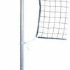 Jaypro 24" dia., 145lb Phys Ed Game Standards, MP-500R (pair) Royal